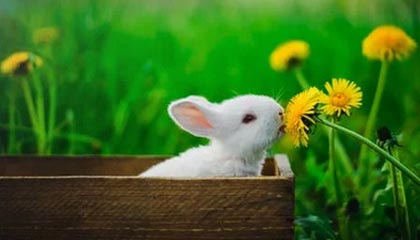 每周股票复盘：康美药业（600518）现1笔折价11.37%的大宗交易