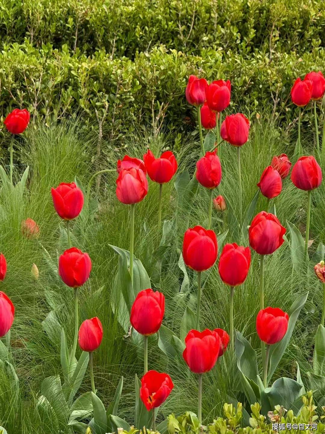 杂感随笔丨留心那些“很小很美的事”