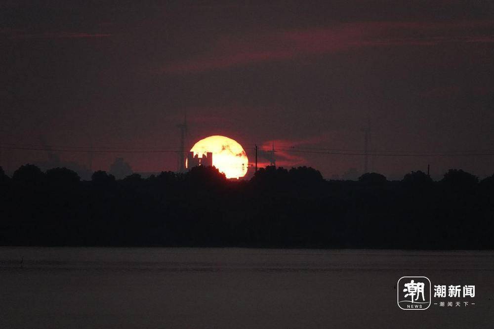 “美出圈”的杭州钱塘大湾区湿地公园