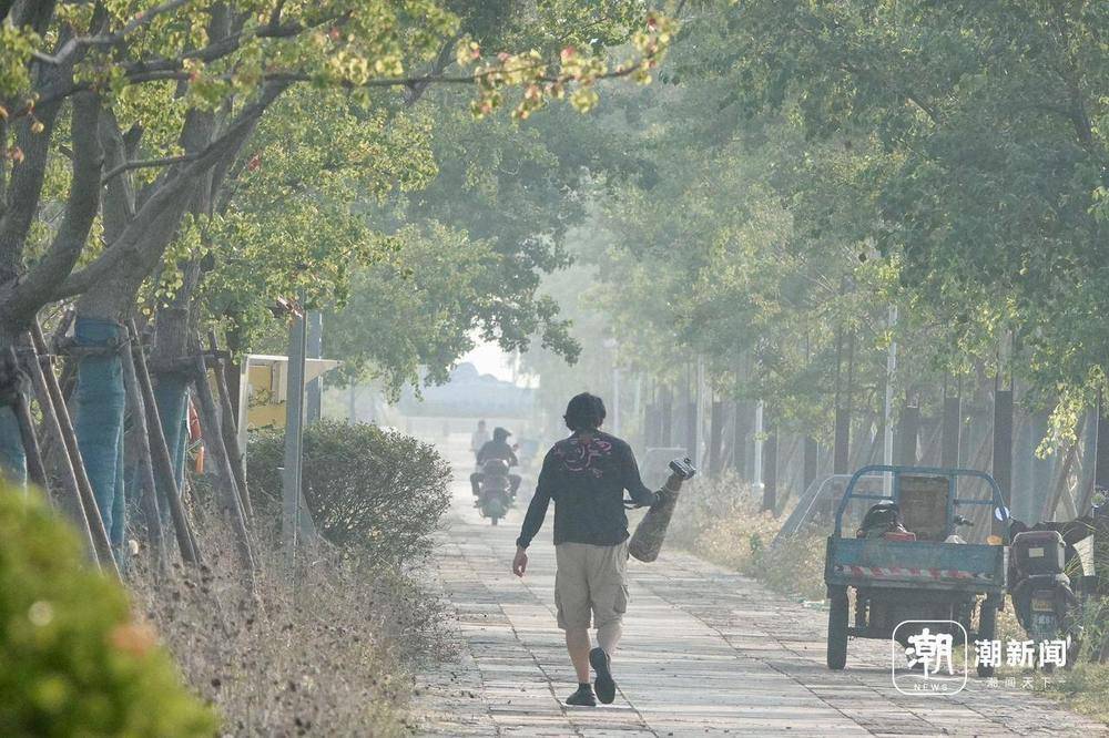 “美出圈”的杭州钱塘大湾区湿地公园
