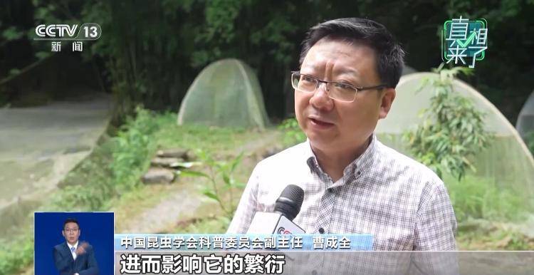 网传萤火虫濒临灭绝，是真的吗？