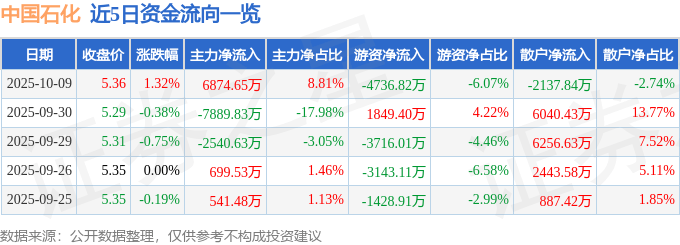 股票行情快报：中国石化（600028）10月9日主力资金净买入6874.65万元