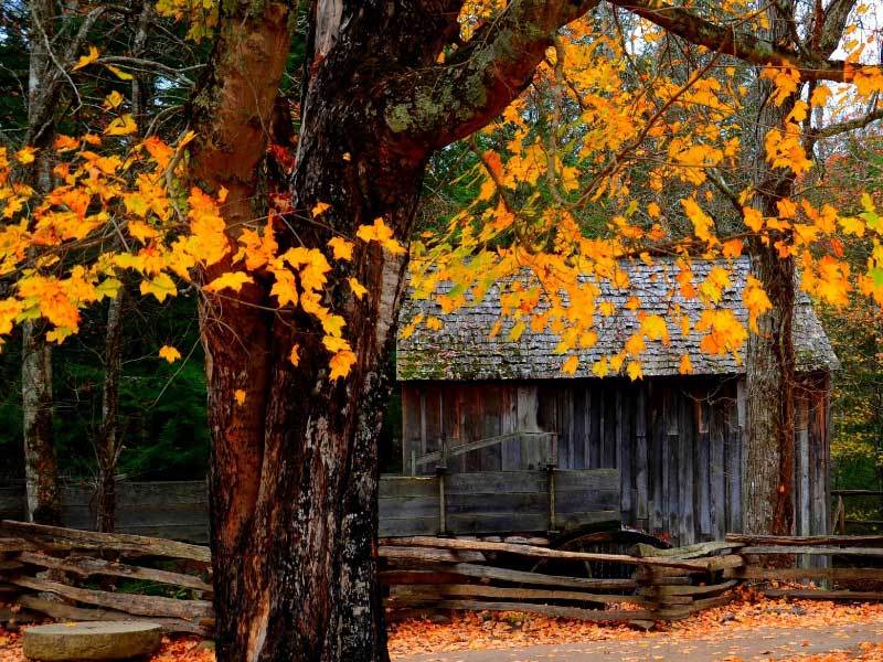 迈瑞医疗参与科研基金合作