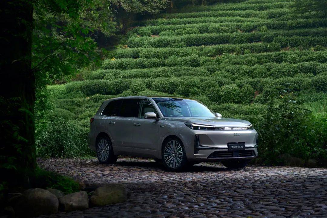 吉利汽车，“新王”当立