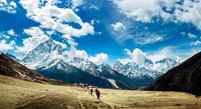 超一亿元！珠峰南坡发生骗保大案